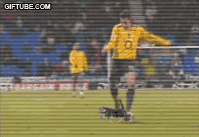 Robin van Persie gif Robin van Persie