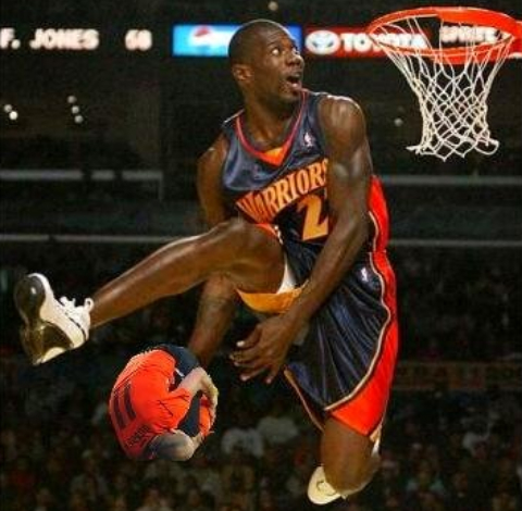 robben als basketbal Robben als Basketbal