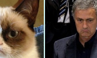 grumpy mou