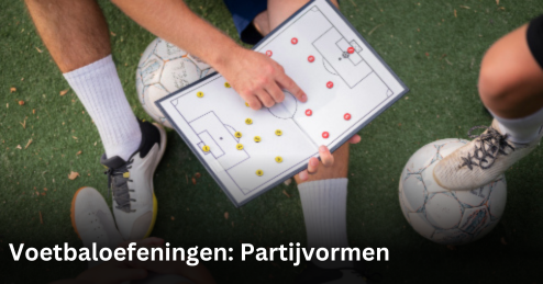 Categorie Partijvormen