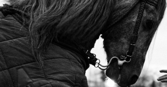 Welke spelers gaan schijnen op WK 2026 | Doordebenen