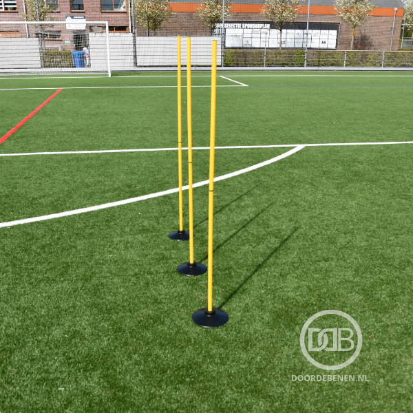 Sla-om stok (2 delig) 172 cm